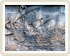 Relief des Borobodur